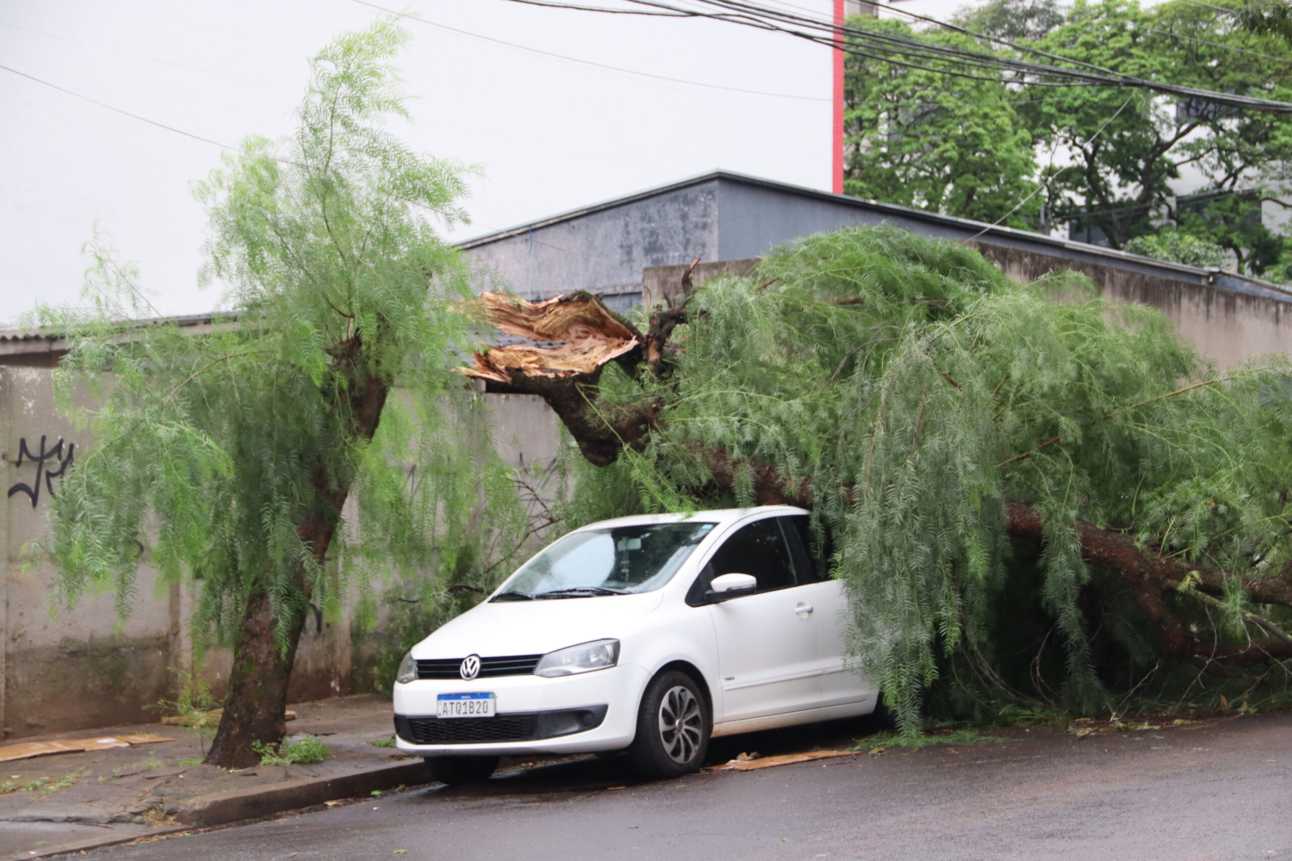 Chuva rápida ventos fortes causa uma série de estragos em Umuarama