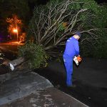 Jornal Ilustrado - Chuva destelhou parcialmente cerca de 20 casas
