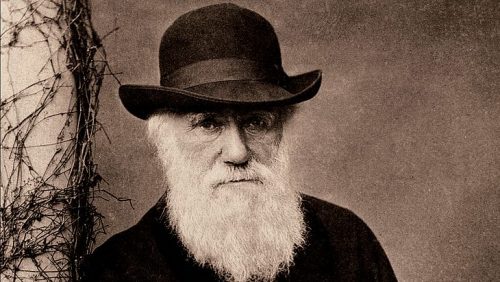 Jornal Ilustrado - Nova edição de clássico de Darwin recupera seu contexto histórico