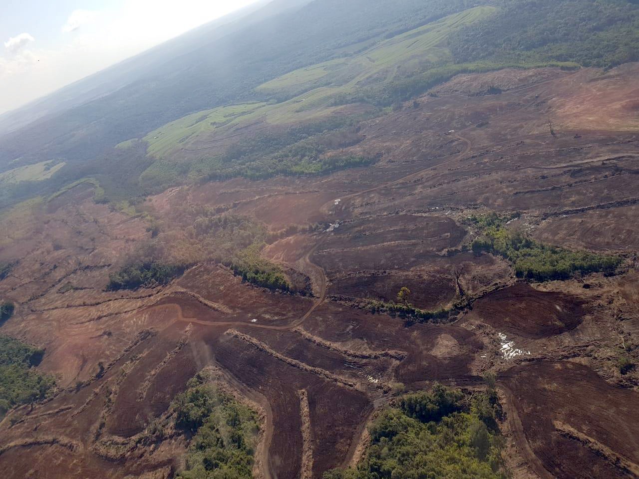 Flagrante de desmatamento Mata Atlântica pelo IAP e pela FORÇA VERDE