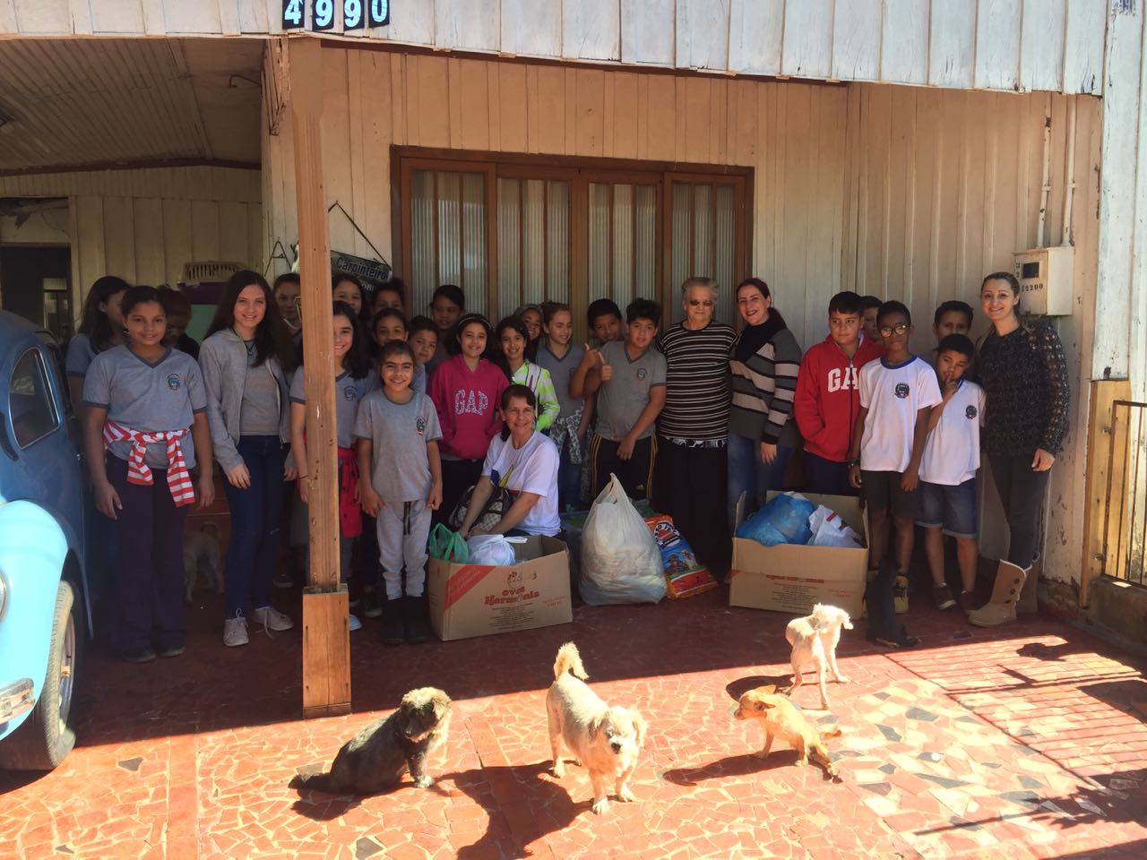 Jornal Ilustrado - Após campanha solidária, escola doa ração e remédios para dona Iracema