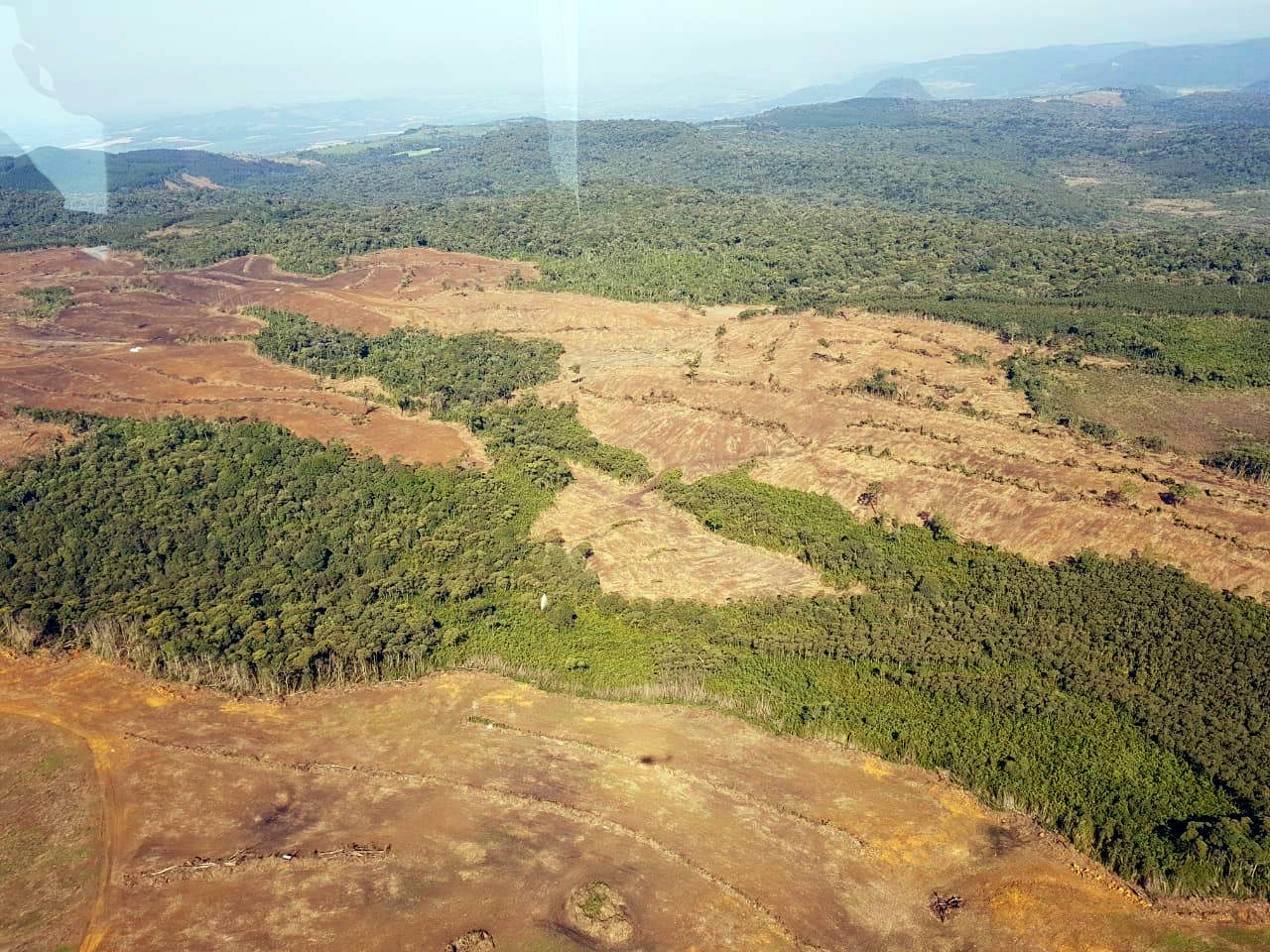 Umuarama terá grupo do MP especializado em meio ambiente, habitação e urbanismo