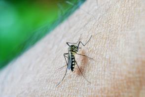 Saúde reforça combate a dengue com  capacitação de agentes e técnicos