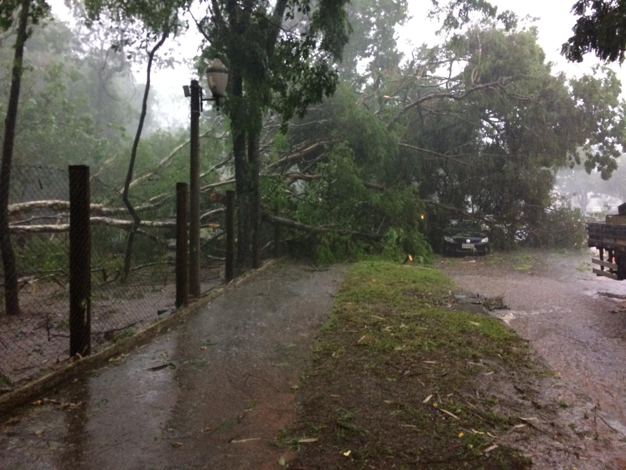 Temporal provoca estragos em Umuarama e região