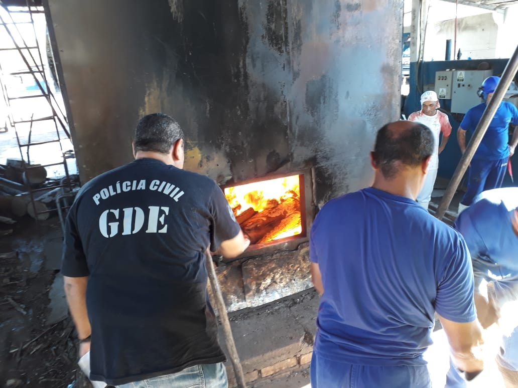 Polícia queima mais de meia tonelada de drogas em Umuarama