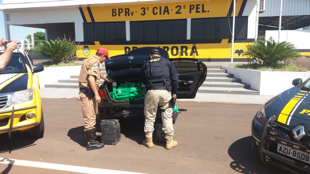 Em ação conjuntas, polícias  apreendem 365 kg de maconha