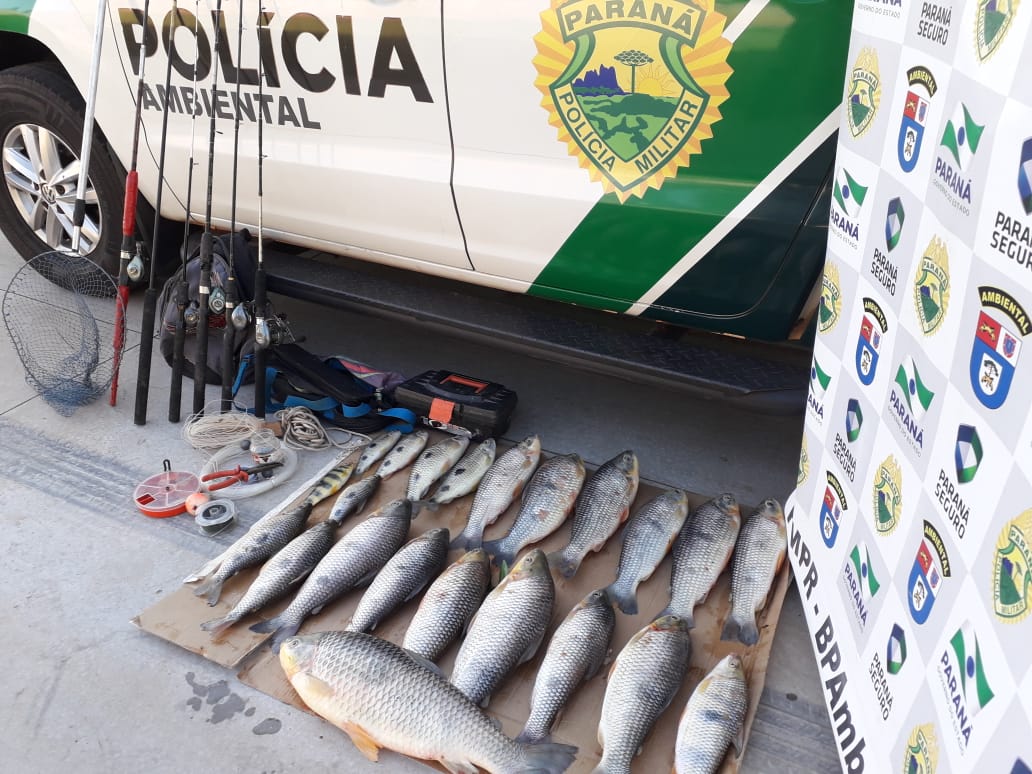 Peixes apreendidos no rio Paraná são doados ao Lar São Vicente