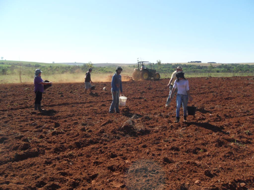 SEM-TERRA-MARILUZ