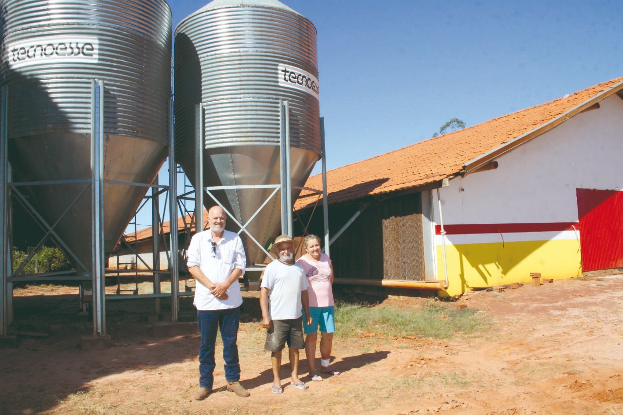RETOMADA Produtores de frango voltam a  entregar para o frigorífico Averama