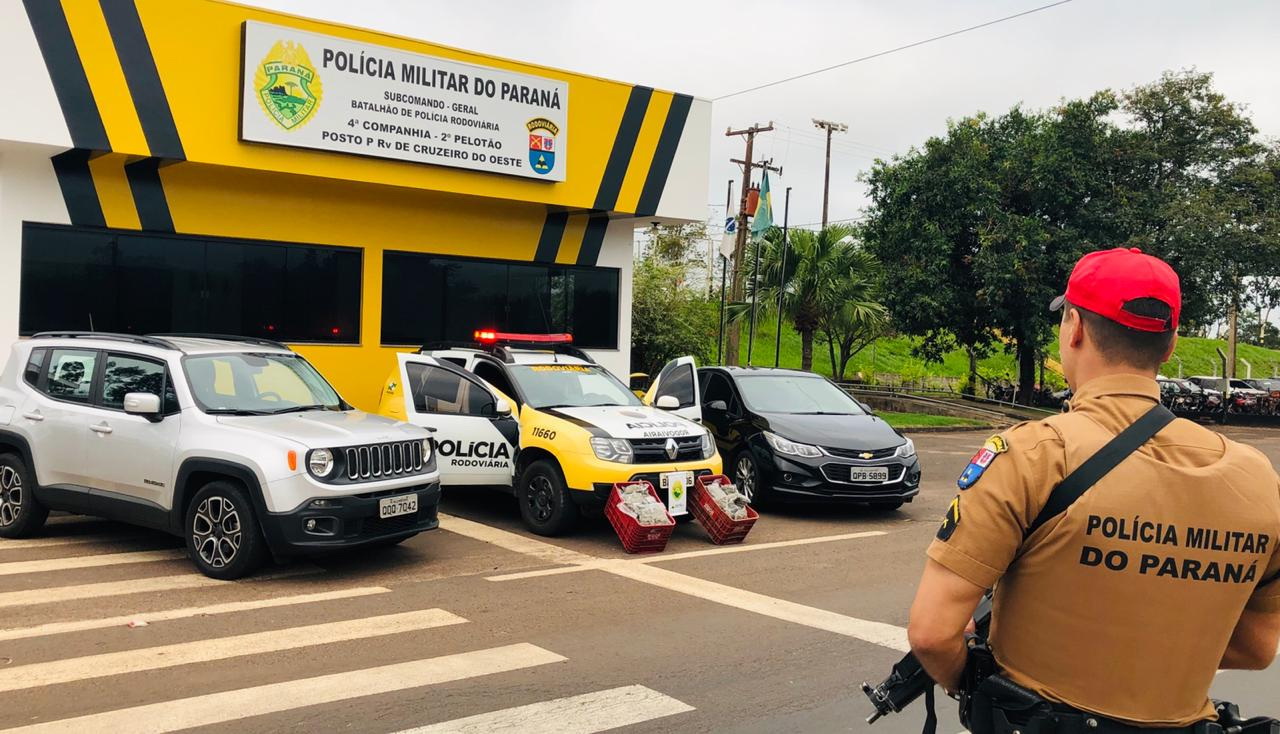 Polícia Rodoviária apreende 278 quilos de maconha em carro furtado, perto de Umuarama