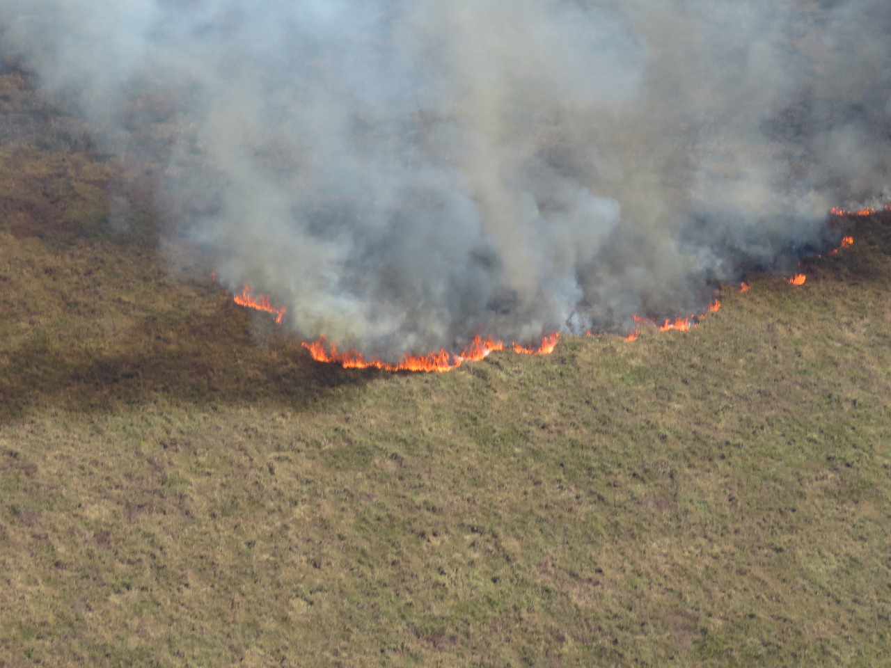 Incêndio volta a consumir a vegetação  no Parque Nacional de Ilha Grande