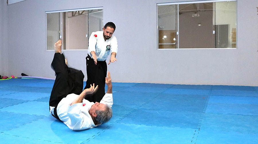 aikido-paraná-brasil