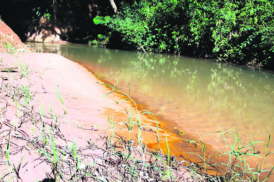 Estiagem e possível falta de água chama atenção para as condições do Rio Piava