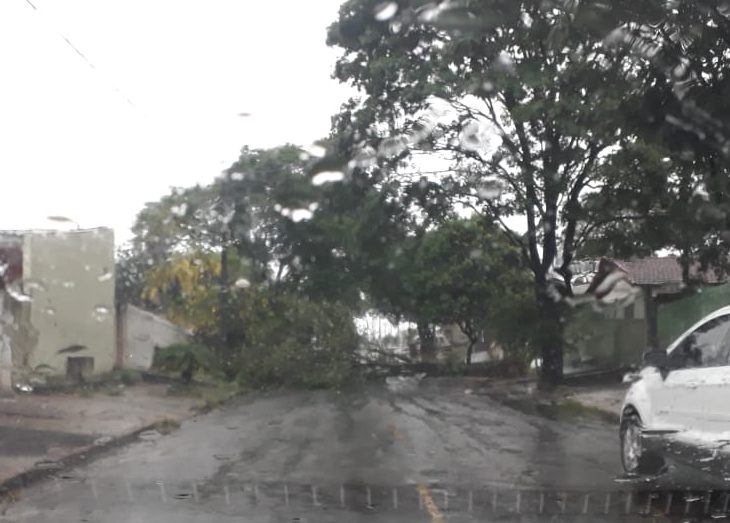 Sem previsão, chuva de granizo surpreende umuaramenses