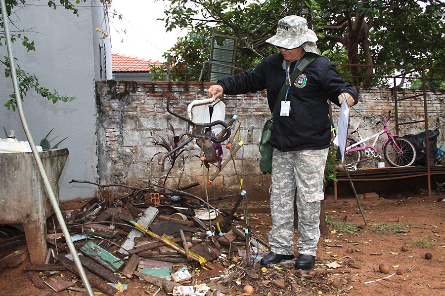 Criadouro do mosquito da dengue está dentro dos quintais, aponta levantamento