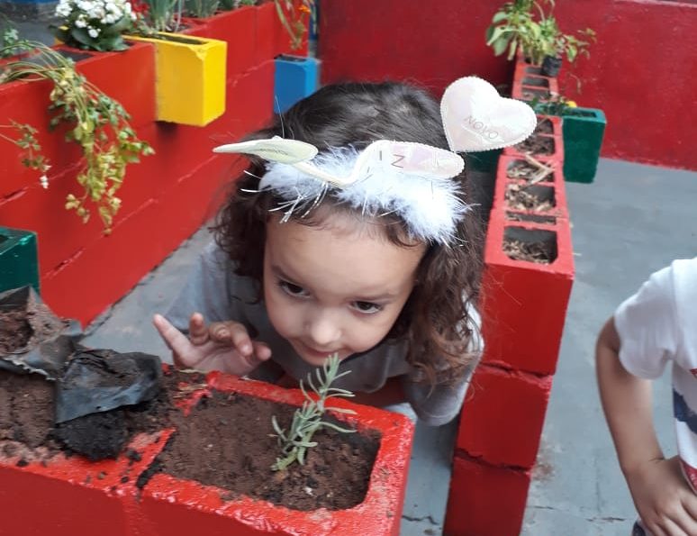 ‘Jardim Sensorial’ enriquece formação dos alunos da escola Jardim Birigui