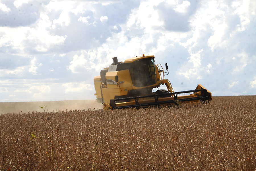 Colher soja no arenito Caiuá é uma realidade, ressalva agricultor premiado