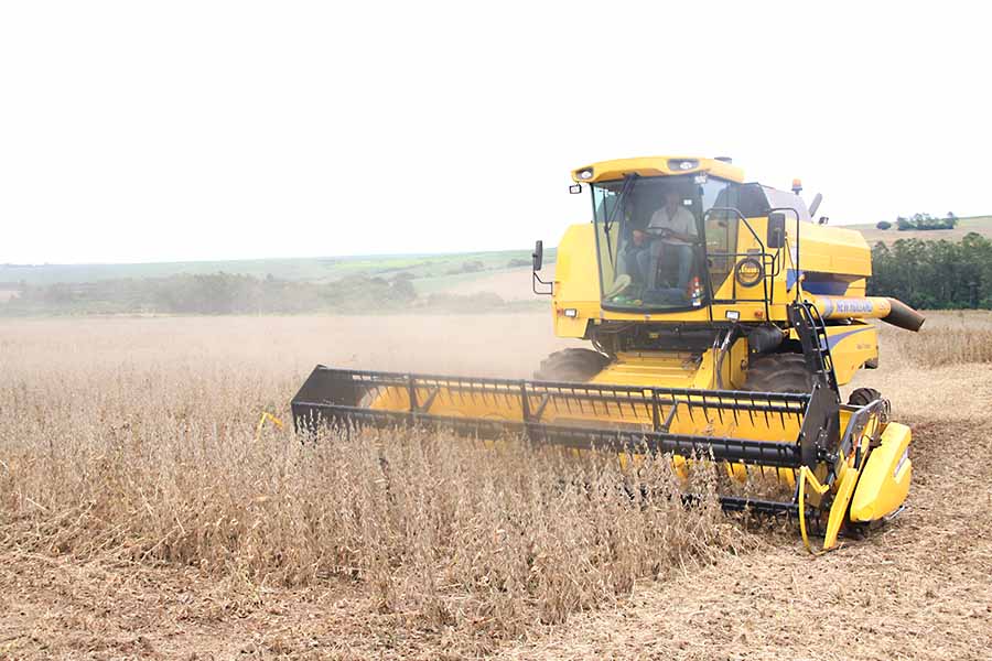 Produtores da região de Umuarama iniciam a colheita das primeiras áreas de soja