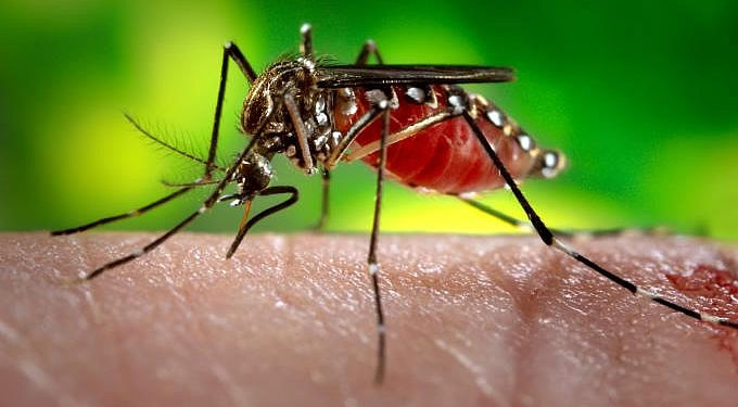Casos de dengue continuam crescendo e Umuarama registra primeiro óbito