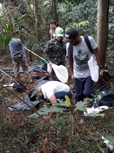 Jornal Ilustrado - Estudo no Parque Nacional de Ilha Grande tem reconhecimento internacional