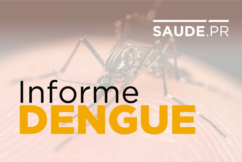 Estudo sinaliza tendência de queda nos casos de dengue