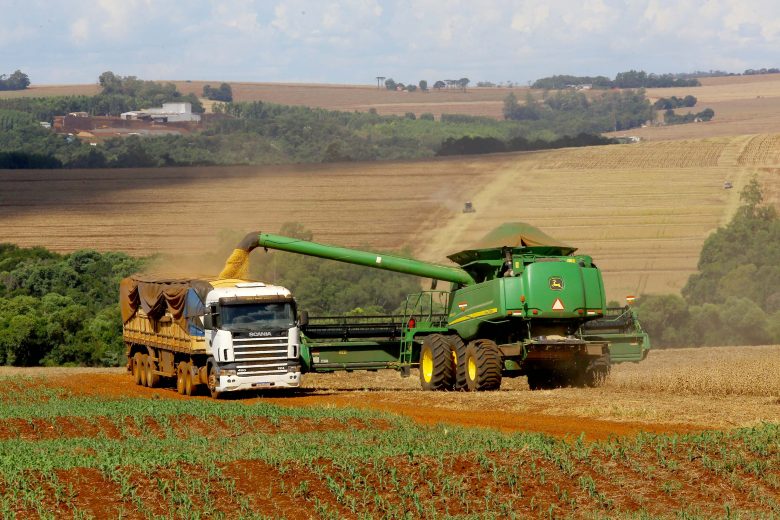 Jornal Ilustrado - Safra de grãos do Paraná deve atingir 41 milhões de toneladas