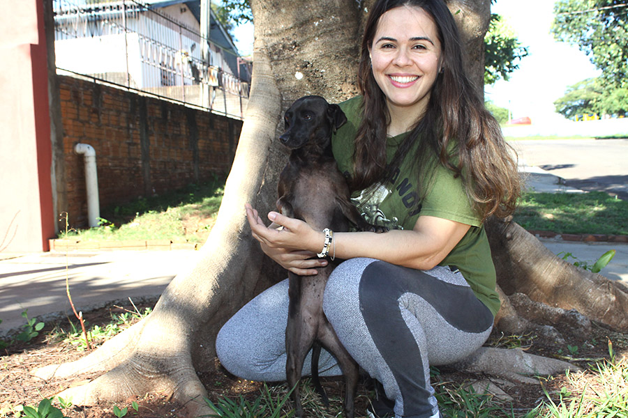 Para adotar um animal de estimação é preciso ter responsabilidade, além de amor