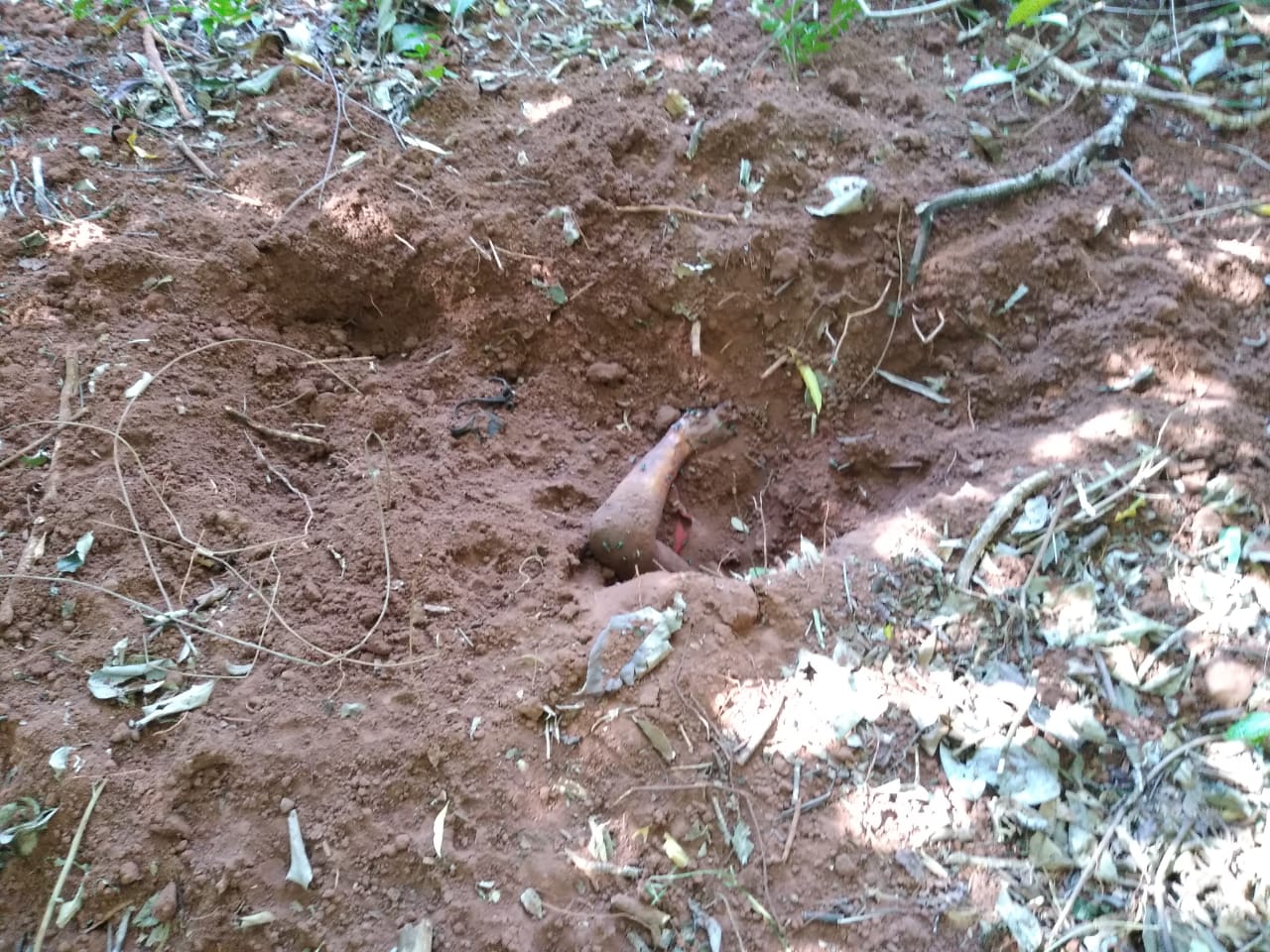 Corpo de mulher é encontrado enterrado na Estrada Moema
