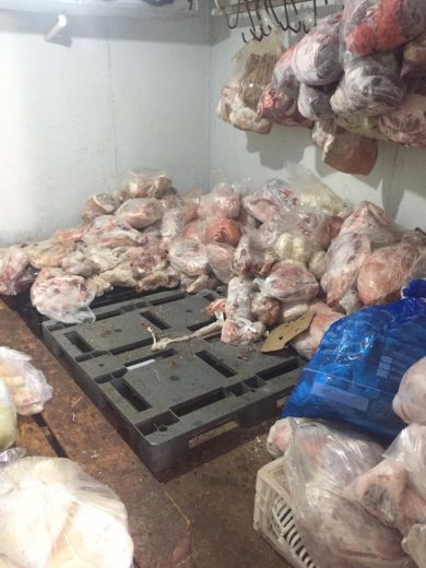 Jornal Ilustrado - Açougue tem 5 mil quilos de carne vencida e guardada sem cuidados apreendida