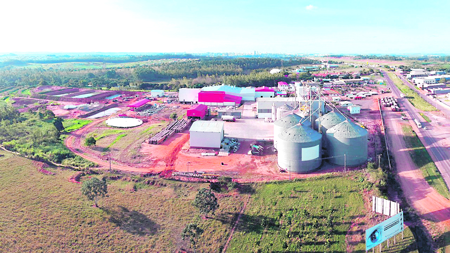 Jornal Ilustrado - O grande jornal do Noroeste do Paraná Jornal Ilustrado - Levo Alimentos inicia o abate de frangos em Umuarama com planos promissores