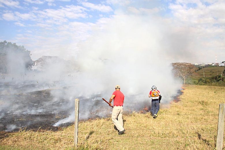 Jornal Ilustrado - Grave acidente no Paraná acende alerta para perigo de queimadas