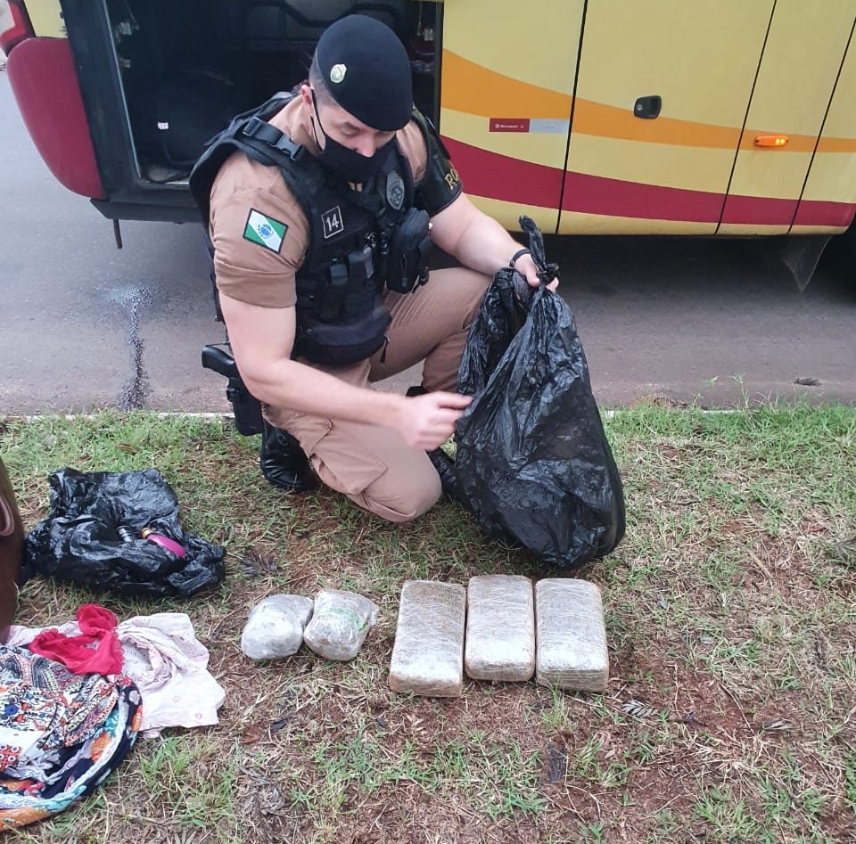 PM apreende skunk avaliada em R$ 228 mil em Serra dos Dourados