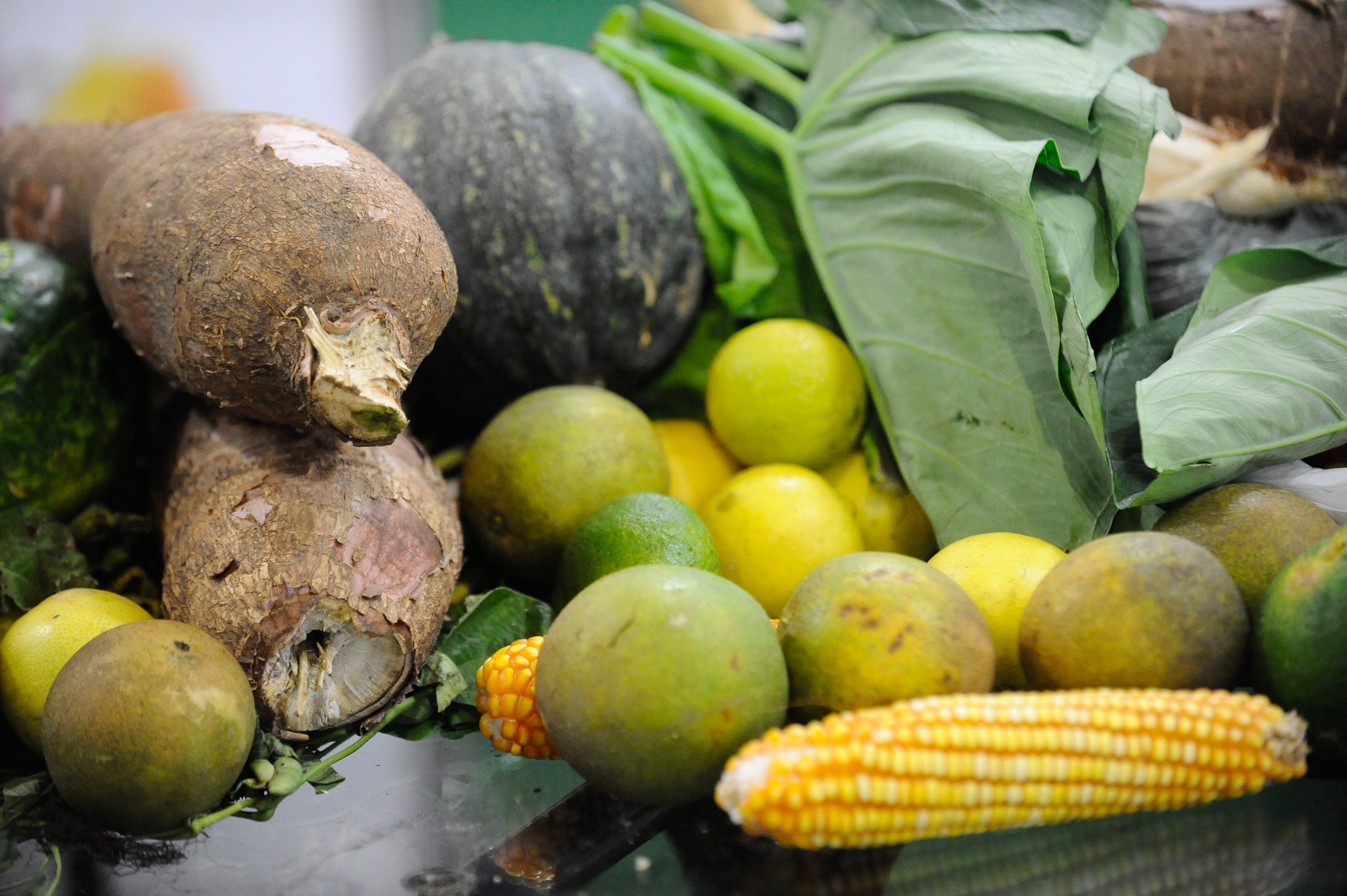 Segurança alimentar mundial e os desafios ao Brasil