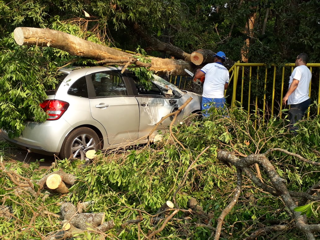 Vento forte, raios e chuva deixam mais de 400 imóveis sem energia em Umuarama