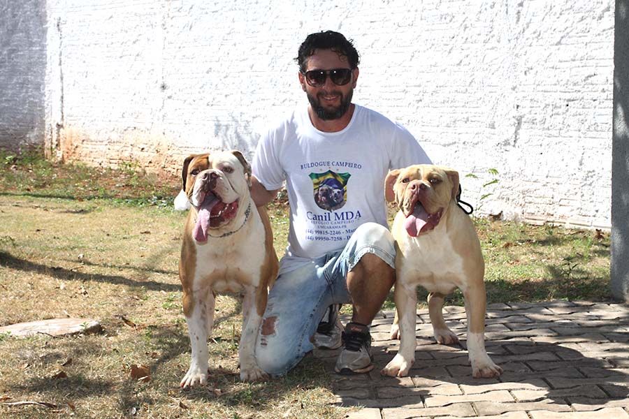 Cão de lida, guarda, companhia, terapeuta e por que não, modelo?