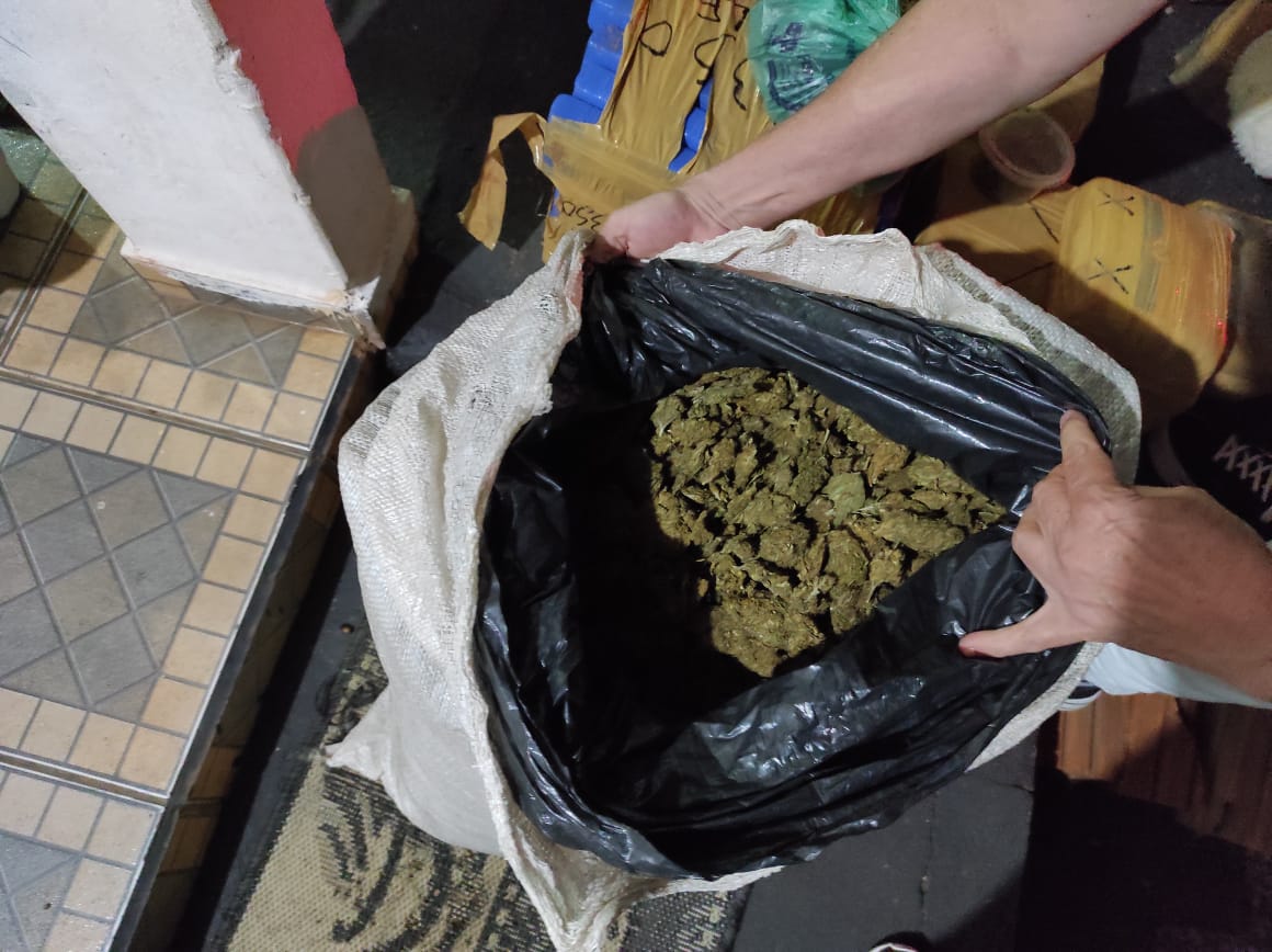 Polícia Civil de Umuarama autua cinco pessoas com 100 kg de maconha e ecstasy