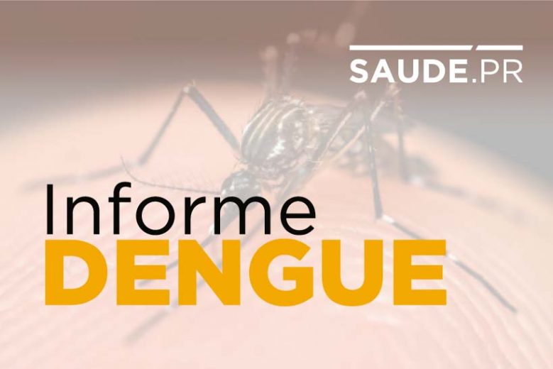 Jornal Ilustrado - Verão exige atenção da população na prevenção da dengue