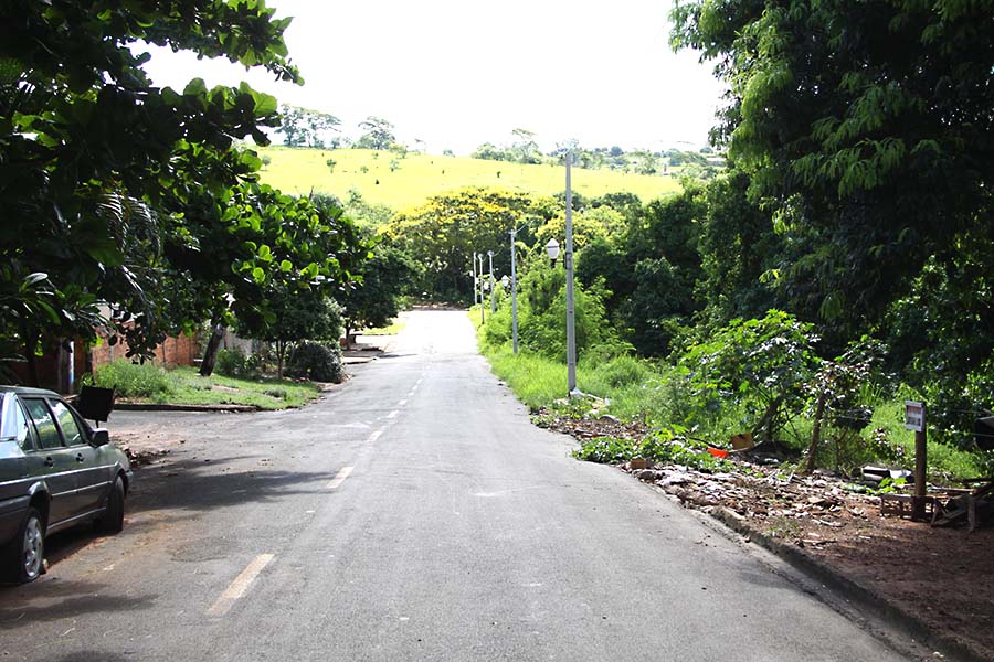 Morador colocou placa de trânsito para evitar morte de galinhas, dizem familiares