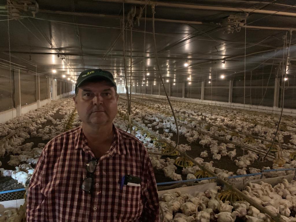 Avicultores da região de Umuarama realizam assembleia para discutir preço do frango