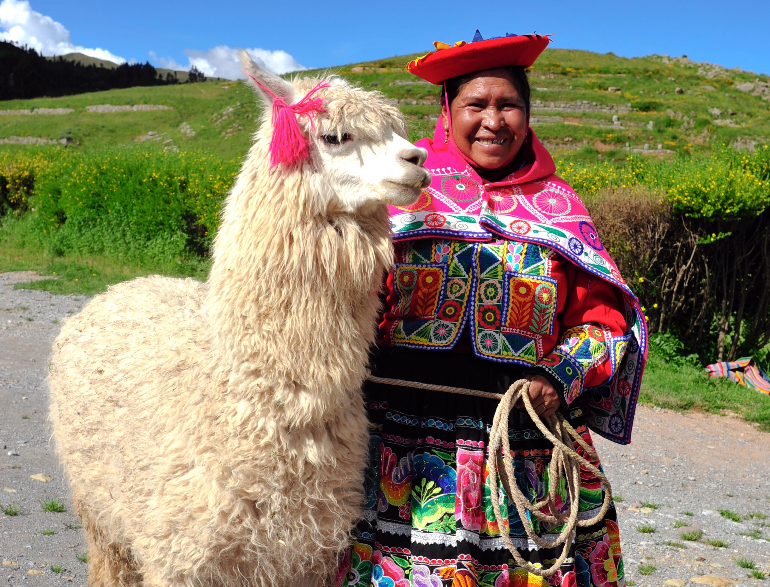 Peruvian woman with llama alpaca - Foto de Peru, América do Sul