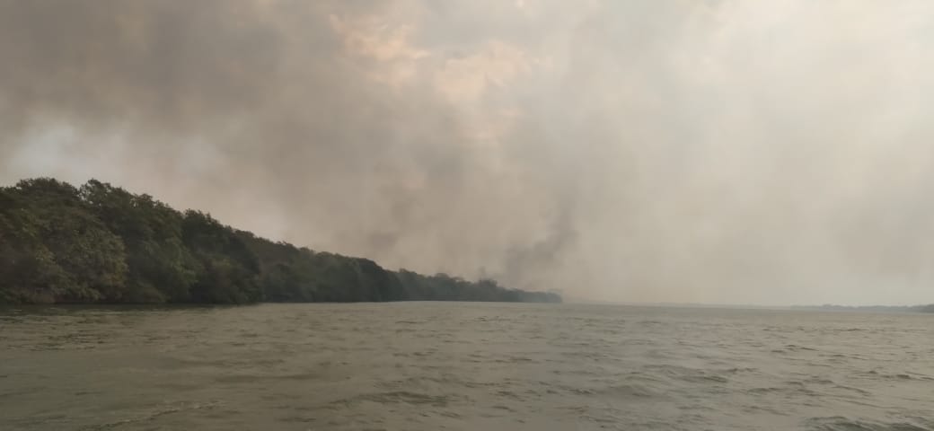 Jornal Ilustrado - Novo foco de incêndio atinge o Parque Nacional de Ilha Grande