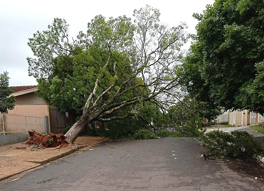 Umuarama ainda conta com 907 casas sem energia. Copel continua trabalhando