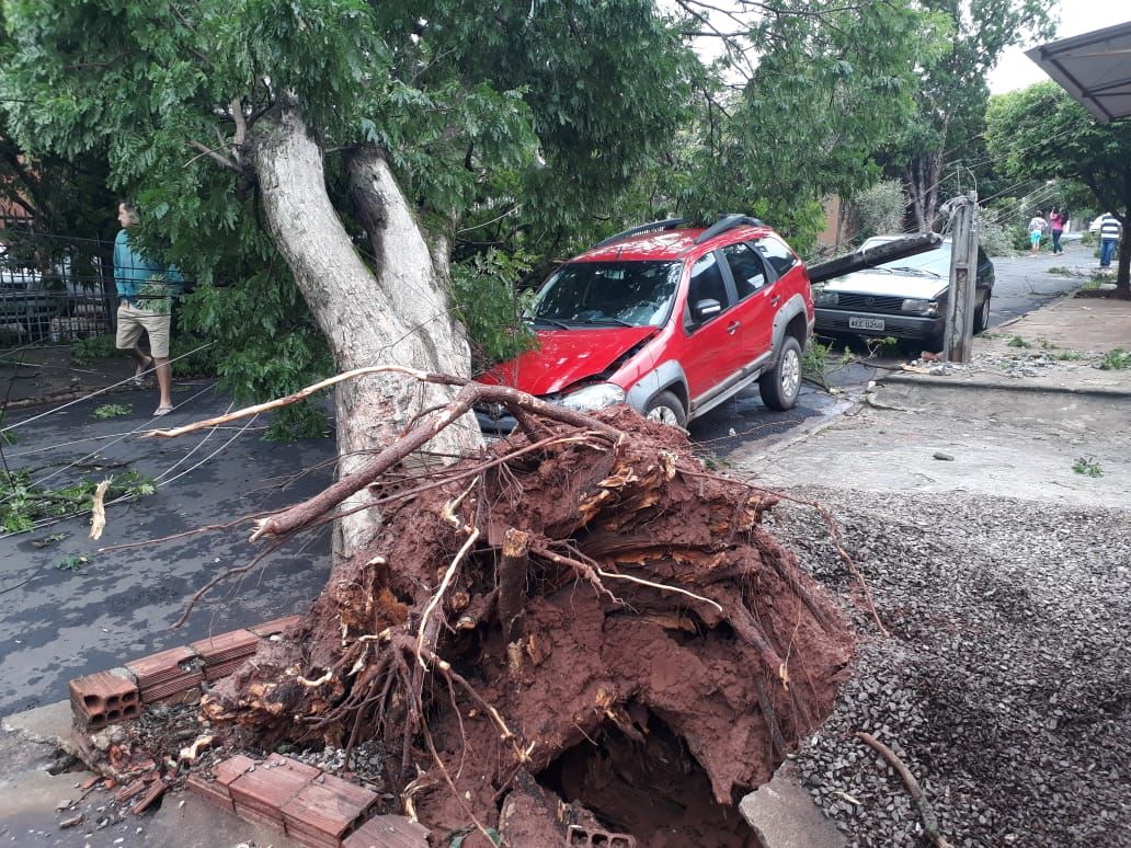 Tempestade causa estragos na região e distrito de Roberto Silveira foi o mais atingido