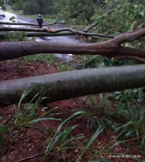 Jornal Ilustrado - Tempestade e fortes ventos deixaram estragos em Umuarama e 15 cidades sem luz