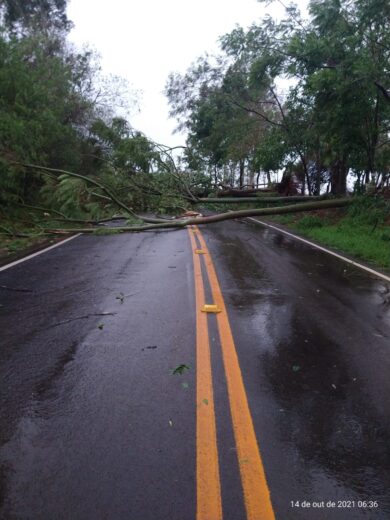 Jornal Ilustrado - Tempestade e fortes ventos deixaram estragos em Umuarama e 15 cidades sem luz