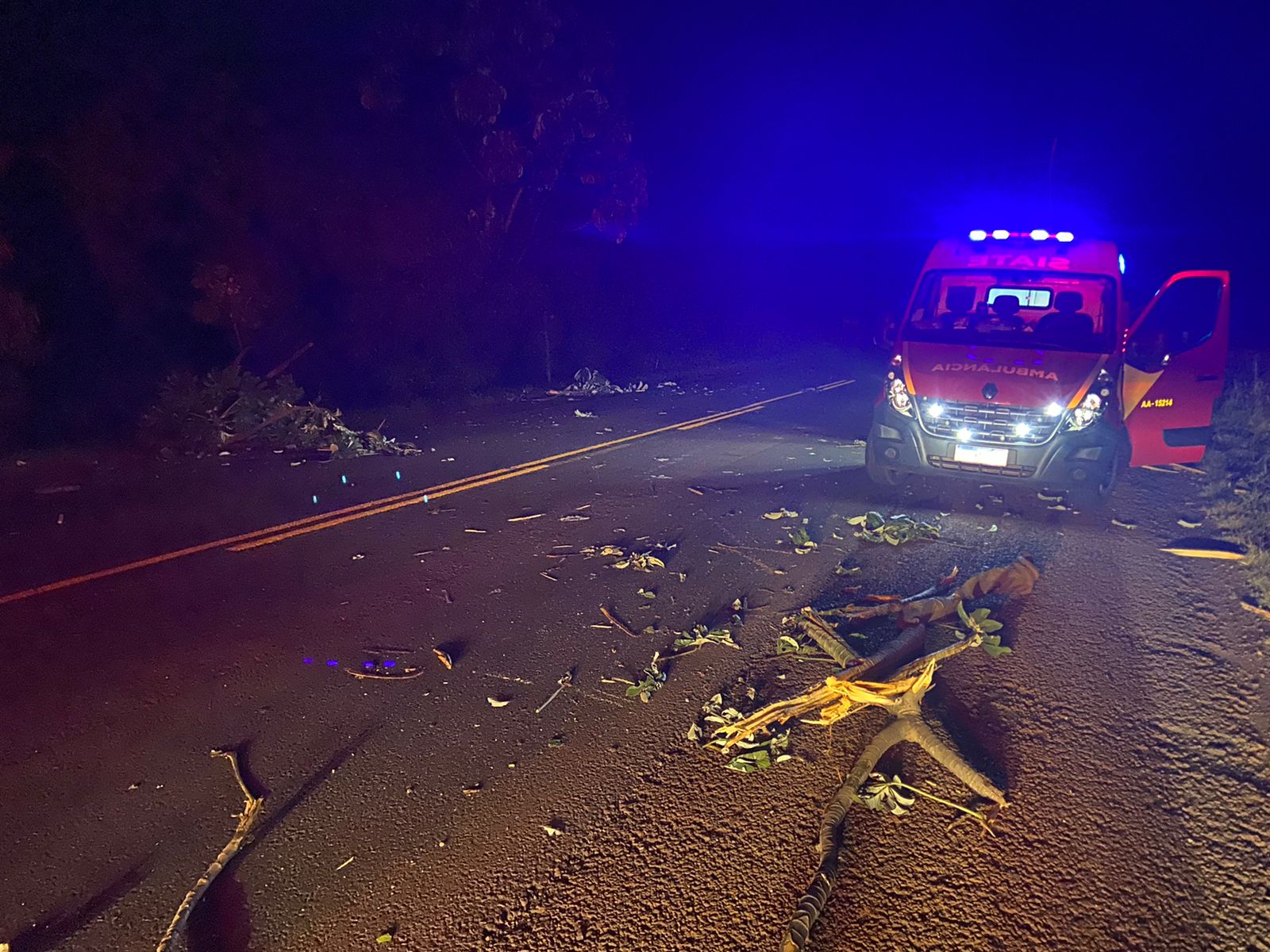 Jornal Ilustrado - Motorista perde controle e carro bate em árvore na PR-239, em Assis Chateaubriand 