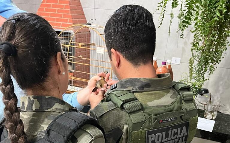Jornal Ilustrado - Operação para fiscalizar criadores de pássaros resulta em R$ 71 mil em autuações