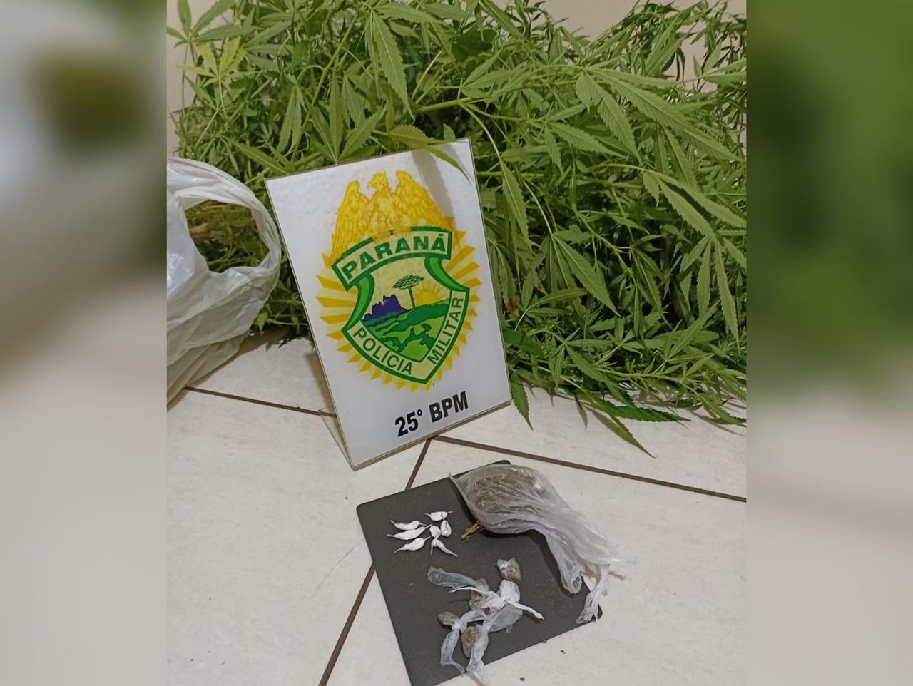 <strong>Homem é preso após ser flagrado com drogas e 16 pés de maconha em Pérola </strong> 