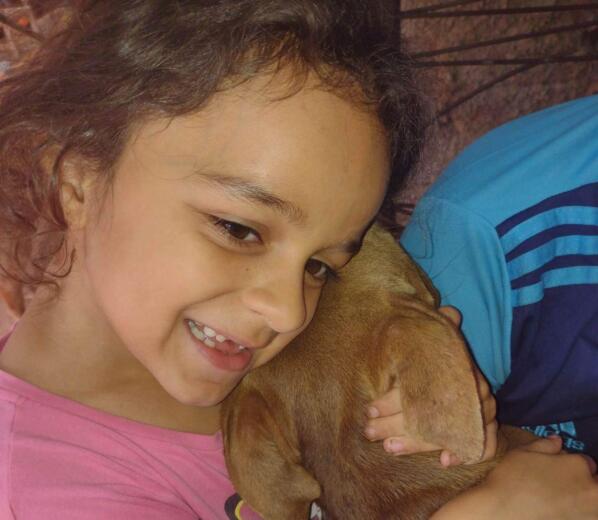 Jornal Ilustrado - Pitbull Frederico é encontrado e sua dona de sete anos volta a sorrir
