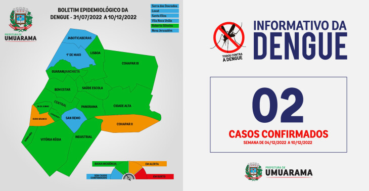 Jornal Ilustrado - Após 15 dias sem confirmações, Umuarama volta a registrar casos de dengue